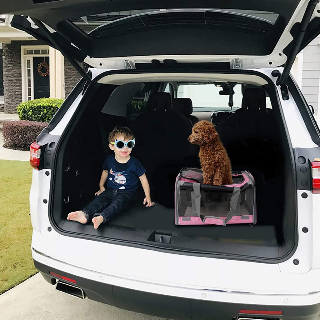 Soft-Sided Pet Carrier for Medium to Large Cats and Puppies