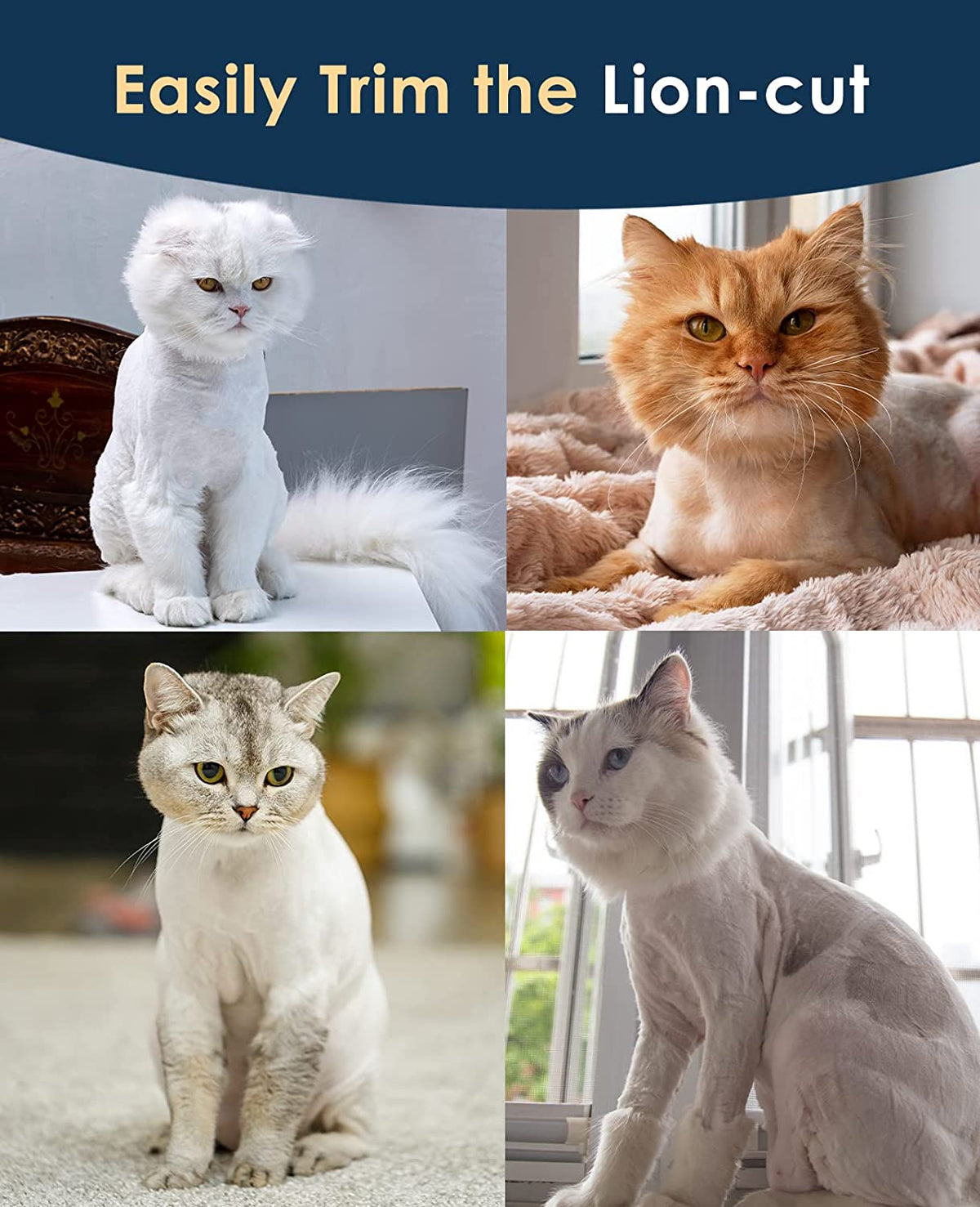 Professional Cat Clippers for Matted and Long Hair