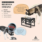 Adjustable Elevated Dog Bowls with Anti-Slip Base, Includes 2 Stainless Steel Bowls for Medium and Large Dogs