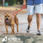 Bungee Dog Leash for Large Breeds with Shock Absorption and No-Pull Design