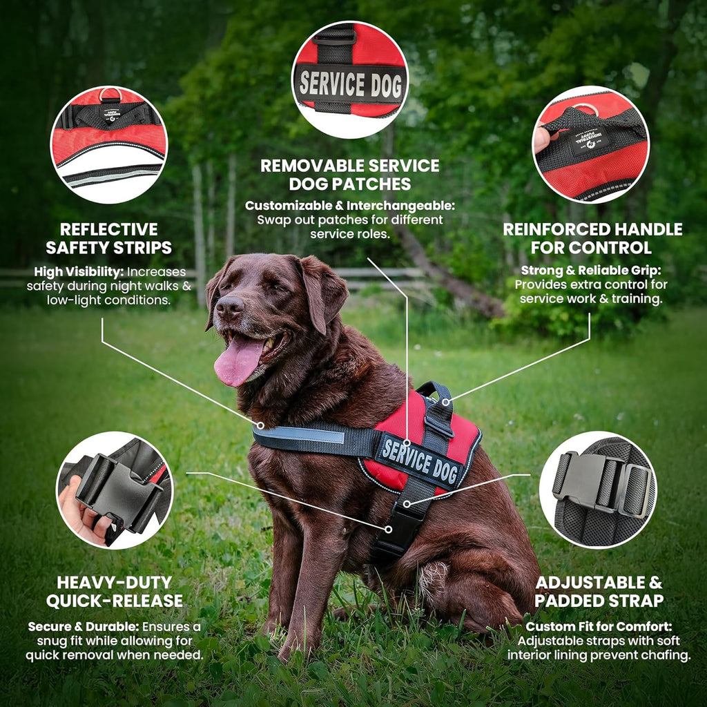 Service Dog Vest and Leash Set with Adjustable Hook and Loop Straps - Available in Sizes XXS to XXL - Features Reflective Patch and Breathable Mesh Design (Pink, XXS)