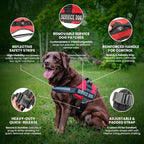 Service Dog Vest and Leash Set with Adjustable Hook and Loop Straps - Available in Sizes XXS to XXL - Features Reflective Patch and Breathable Mesh Design (Pink, XXS)