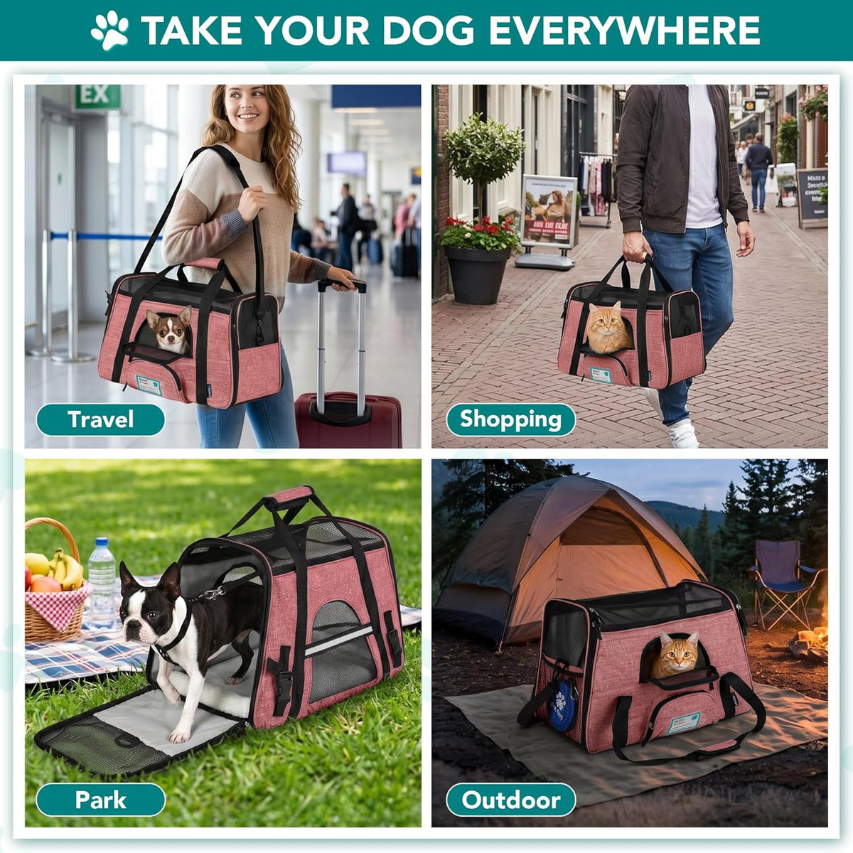 Airline-Approved Pet Carrier for Small Cats and Dogs in Heather White and Red