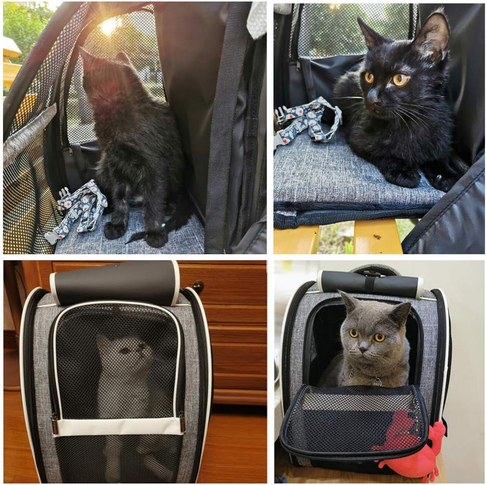 Premium Bubble Backpack Pet Carriers for Cats and Dogs