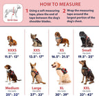Service Dog Vest and Leash Set with Adjustable Hook and Loop Straps - Available in Sizes XXS to XXL - Features Reflective Patch and Breathable Mesh Design (Pink, XXS)