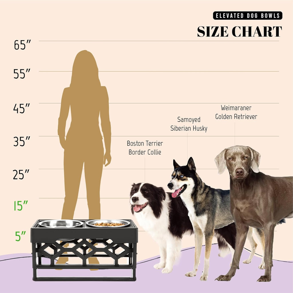 Adjustable Elevated Dog Bowls with Anti-Slip Base, Includes 2 Stainless Steel Bowls for Medium and Large Dogs
