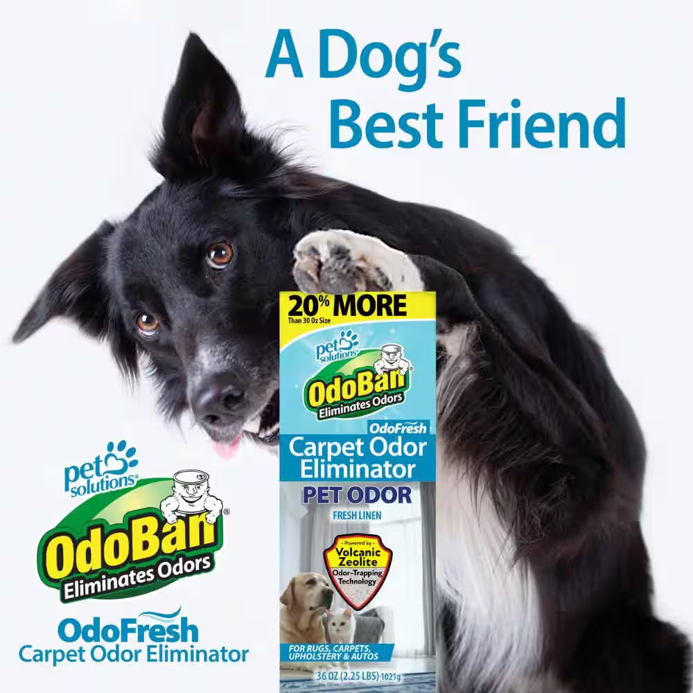 36 Oz. Odofresh Carpet Odor Eliminator Powder with Volcanic Zeolite - Pet and Musty Odor Deodorizer in Fresh Linen Scent