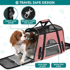 Airline-Approved Pet Carrier for Small Cats and Dogs in Heather White and Red