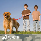 Bungee Dog Leash for Large Breeds with Shock Absorption and No-Pull Design