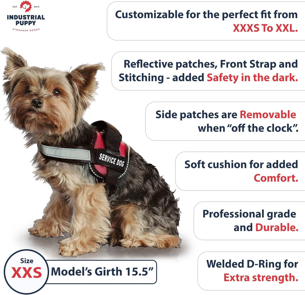 Service Dog Vest and Leash Set with Adjustable Hook and Loop Straps - Available in Sizes XXS to XXL - Features Reflective Patch and Breathable Mesh Design (Pink, XXS)