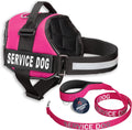 Service Dog Vest and Leash Set with Adjustable Hook and Loop Straps - Available in Sizes XXS to XXL - Features Reflective Patch and Breathable Mesh Design (Pink, XXS)