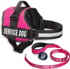 Service Dog Vest and Leash Set with Adjustable Hook and Loop Straps - Available in Sizes XXS to XXL - Features Reflective Patch and Breathable Mesh Design (Pink, XXS)