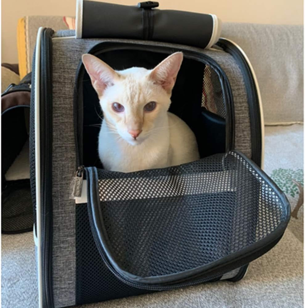 Premium Bubble Backpack Pet Carriers for Cats and Dogs
